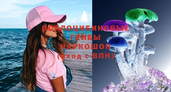 прущий лед Абаза