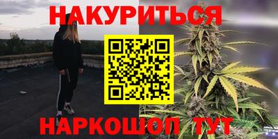 спиды Кингисепп