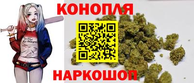спиды Кингисепп