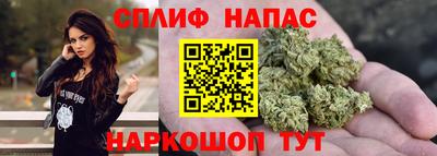 спиды Кингисепп