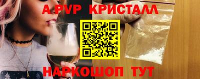 спиды Кингисепп