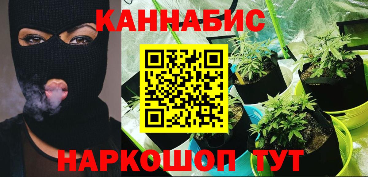 Марихуана семена  Бошки марихуана OG Kush  Марихуана индика  Людиново  Вход с VPN 
